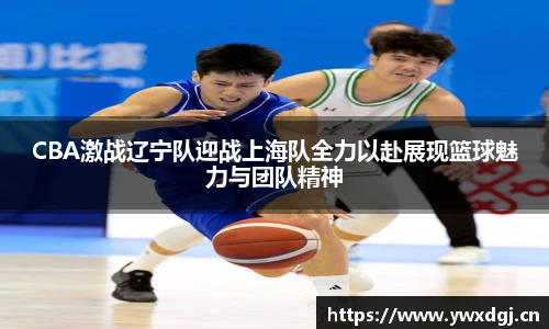 XCsports官网