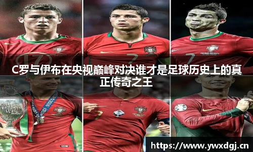 XC网页版入口