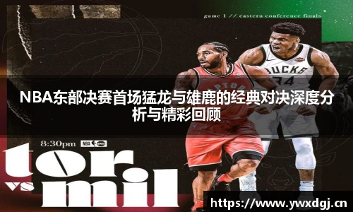 XC网页版入口