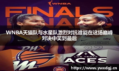 XC网页版入口