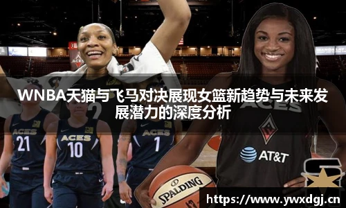 XC网页版入口
